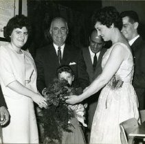 Elizabeth DeCarolis, Rosa Benacquista, Hazel Foy, Walter Foy, Frank Dajci, Carlo Cantalini